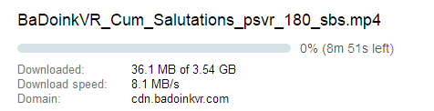 BadoinkVR have excellent download speeds.
