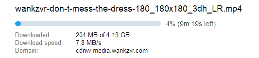 WankzVR download speeds were patchy at best!