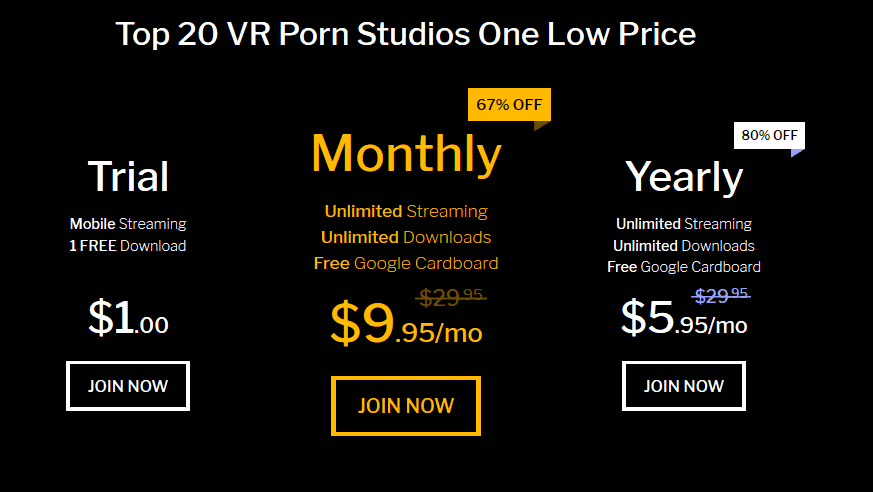 this is how much realvr costs