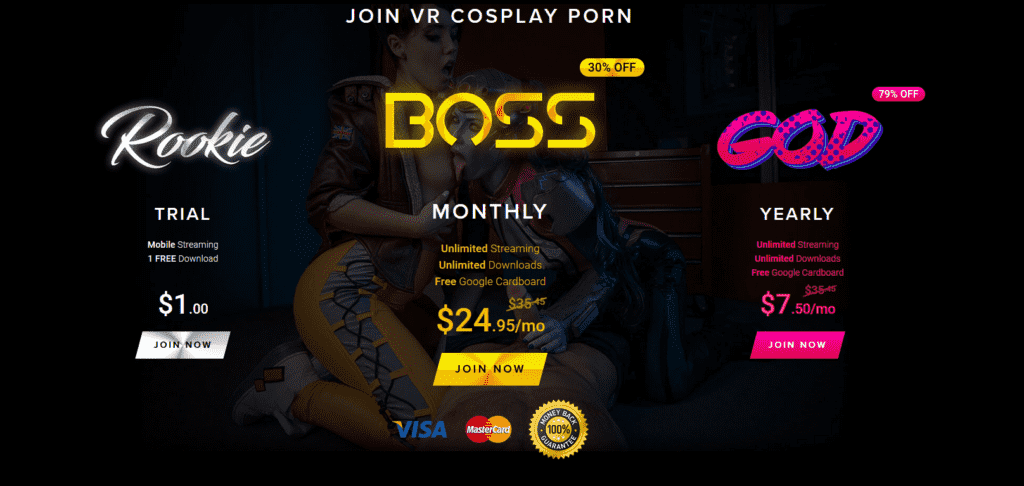 this is how much vrcosplayx costs